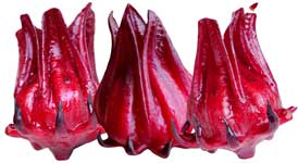ingredients-curatap-03-roselle